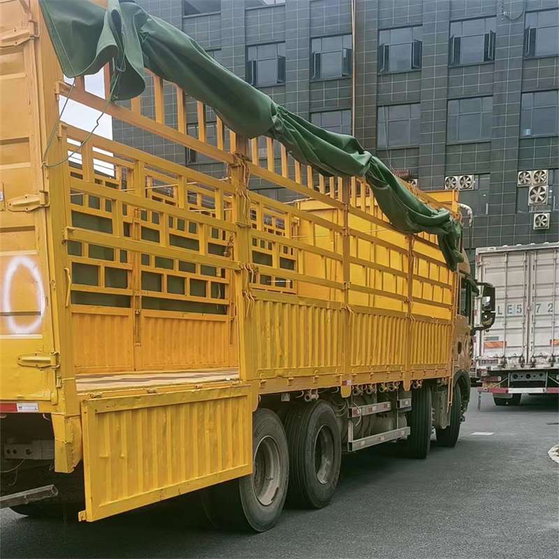 河北保定高碑店至宜宾货运专线一站式物流服务，让货物畅行无忧